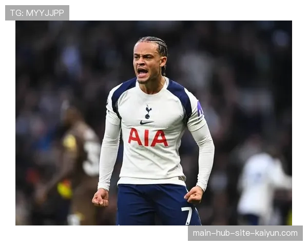 布伦特福德2-2战平埃弗顿，主场进攻数据占优难取胜